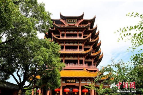 减税降费 为中国国内旅游市场注入新活力